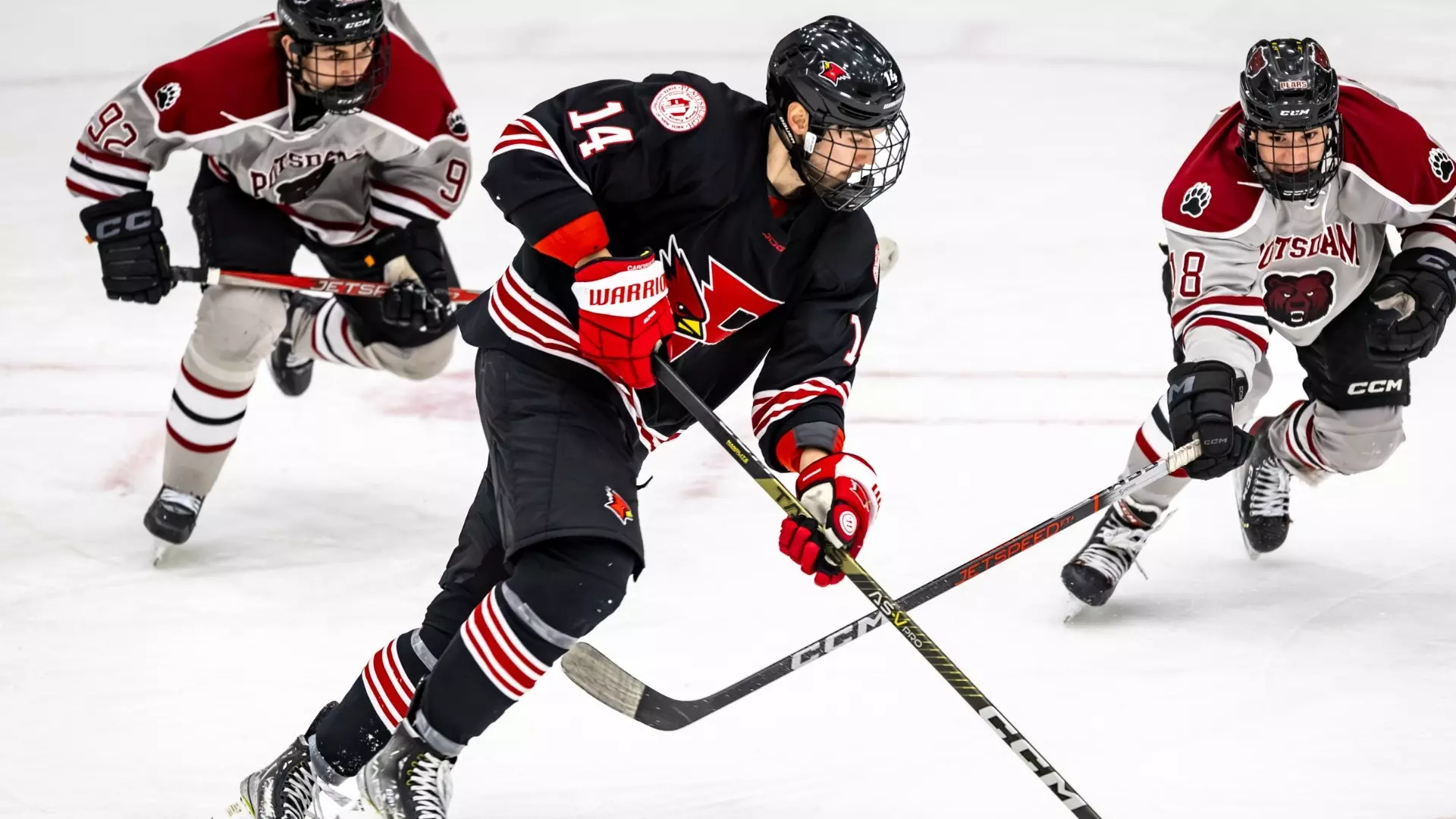 Bauer Official Store -Bauer Official Store convert